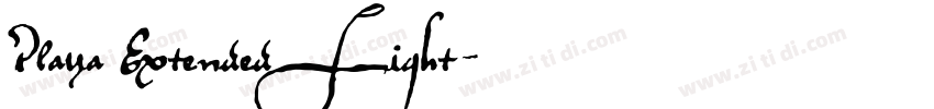 Playa Extended Light字体转换